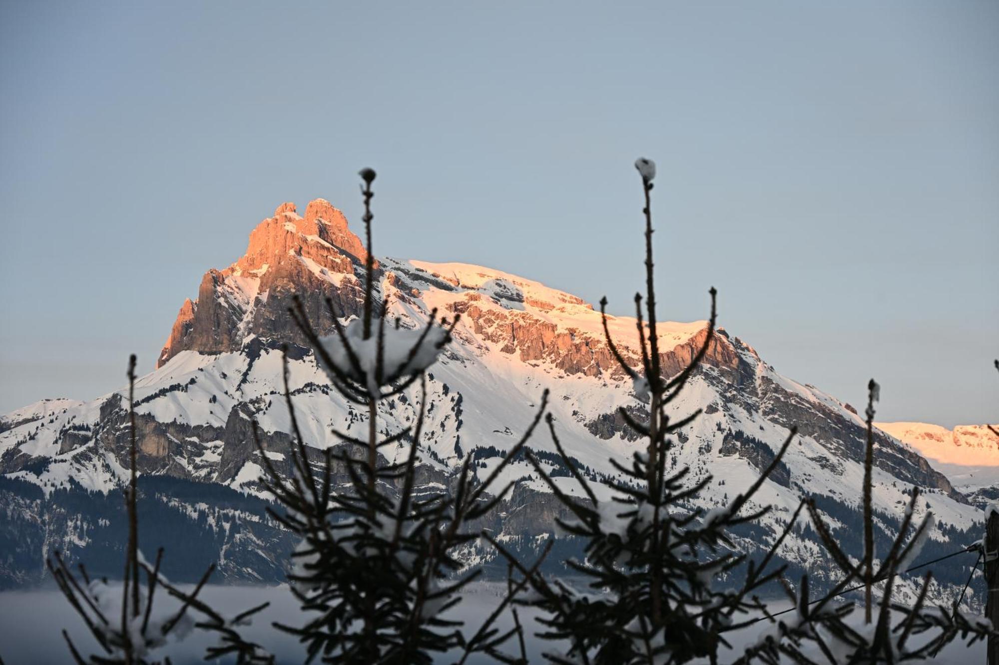 Chalet Montana Combloux Exterior foto